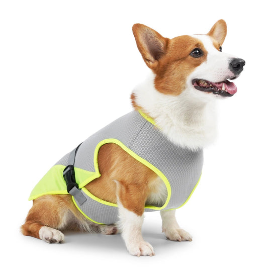 VeciGimax Cooling Vest for Dogs – Advanced Evaporative Cooling Technology, Lightweight Mesh & Adjustable Straps