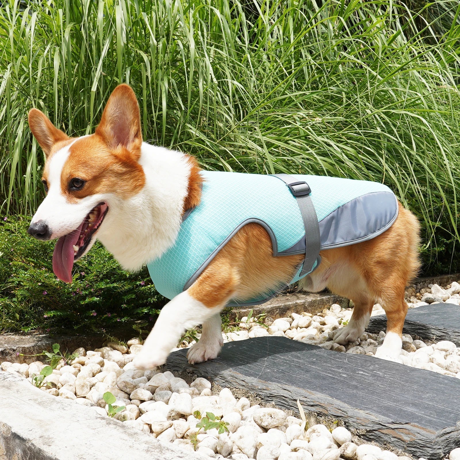 VexiDomic Dog Cooling Vest – Triple-Layer Evaporative Fabric, Lightweight Mesh & Secure Adjustable Straps