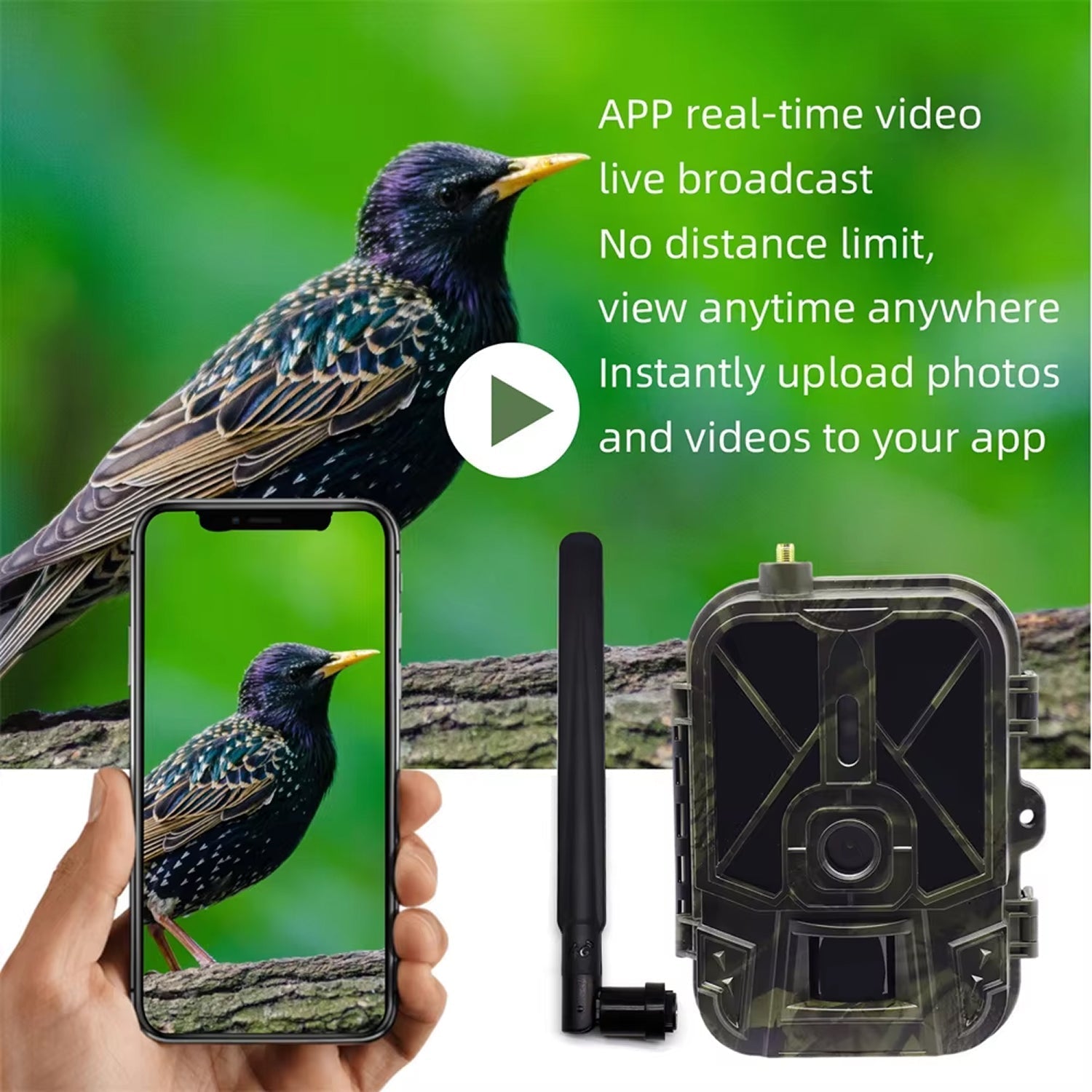 BushiCame Night Wildlife Camera – 4K Ultra HD Infrared Vision, 0.2s Stealth Trigger & Weatherproof Housing