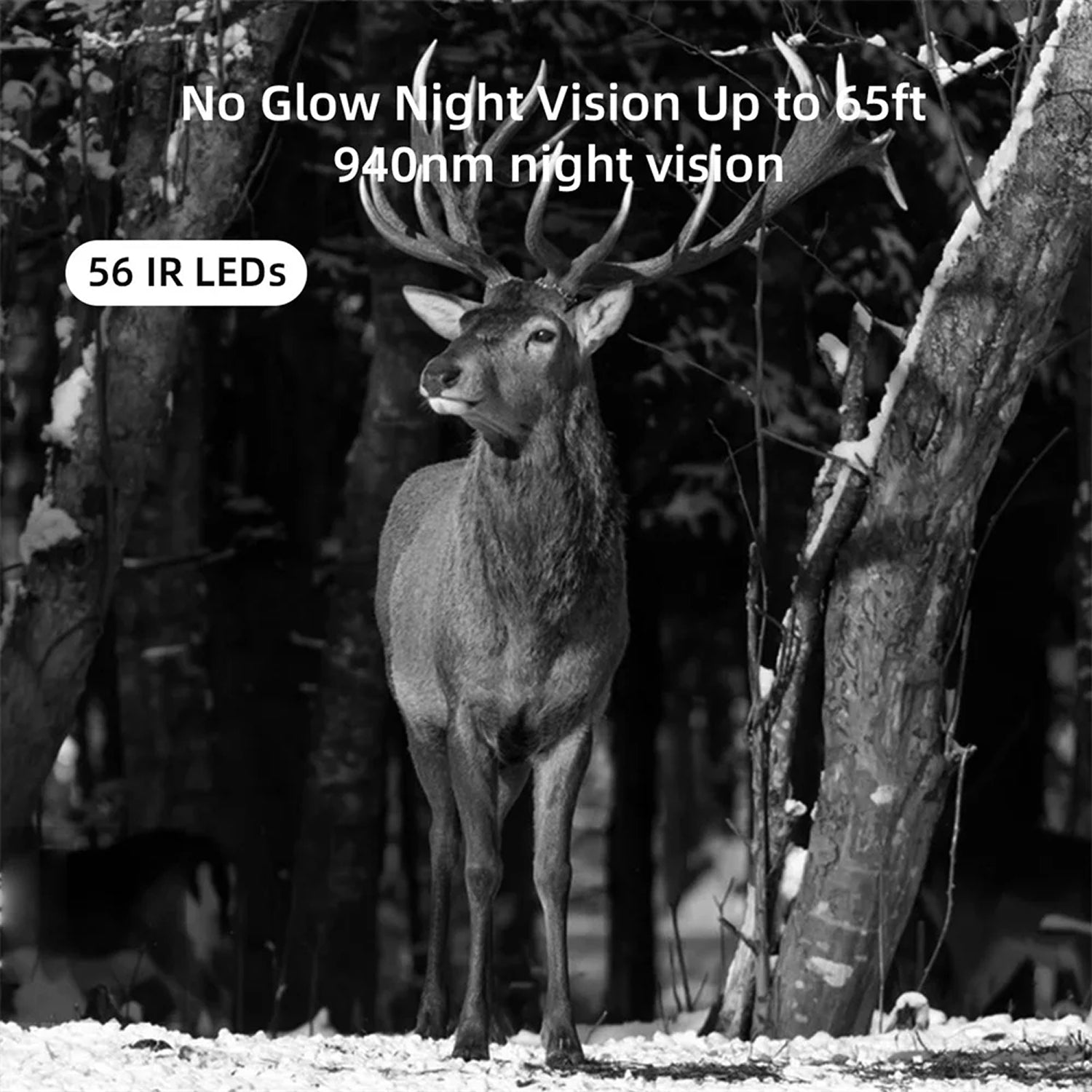 BushiCame Night Wildlife Camera – 4K Ultra HD Infrared Vision, 0.2s Stealth Trigger & Weatherproof Housing