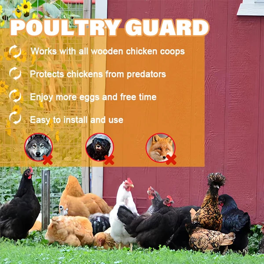 CochiKix Automatic Chicken Coop Door - Predator-Proof Aluminum Door with Anti-Pinch Safety System, LCD Timer