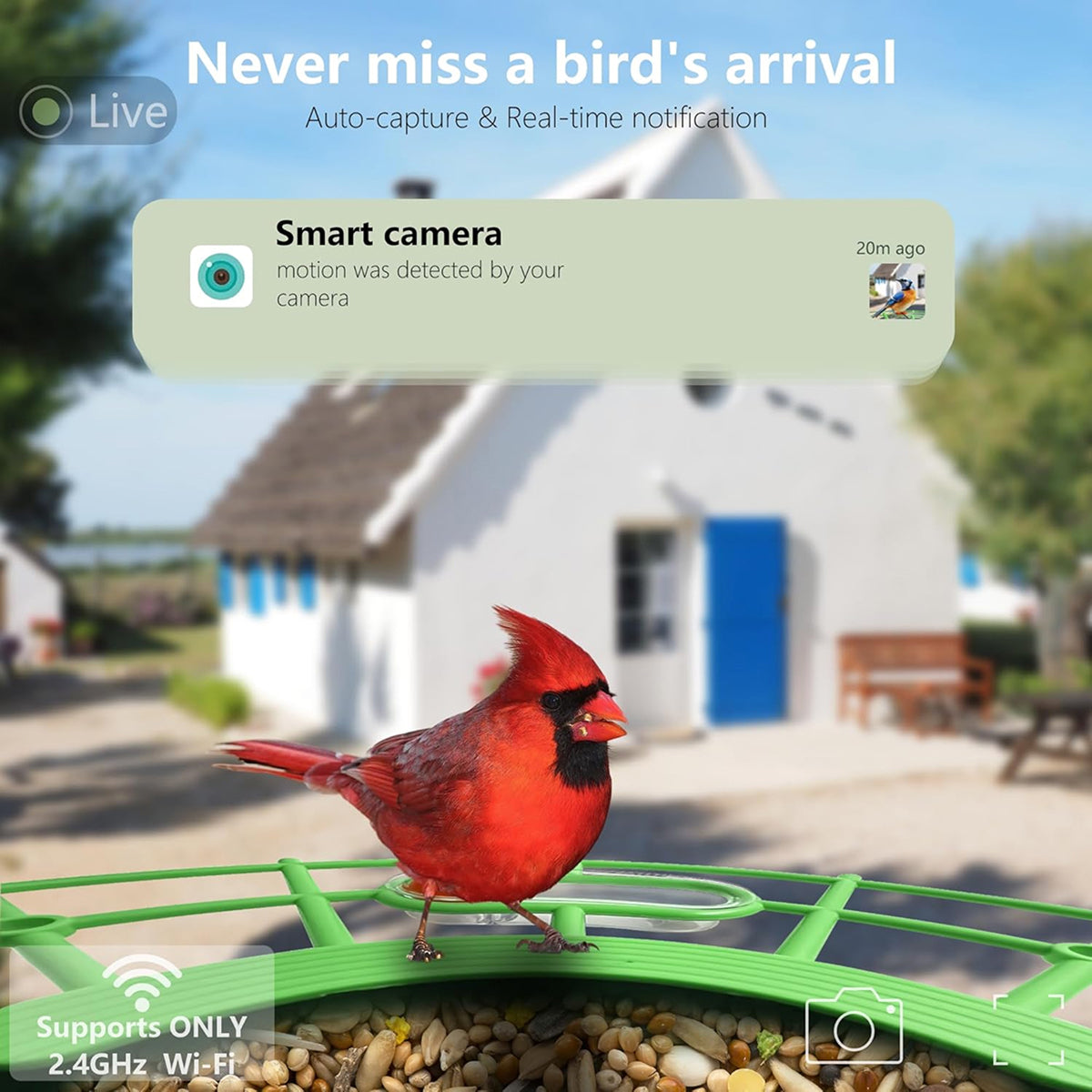 DasFonix Smart Bird Feeder Camera – 2K 4MP AI Species Identification, 5G WiFi & Solar Powered