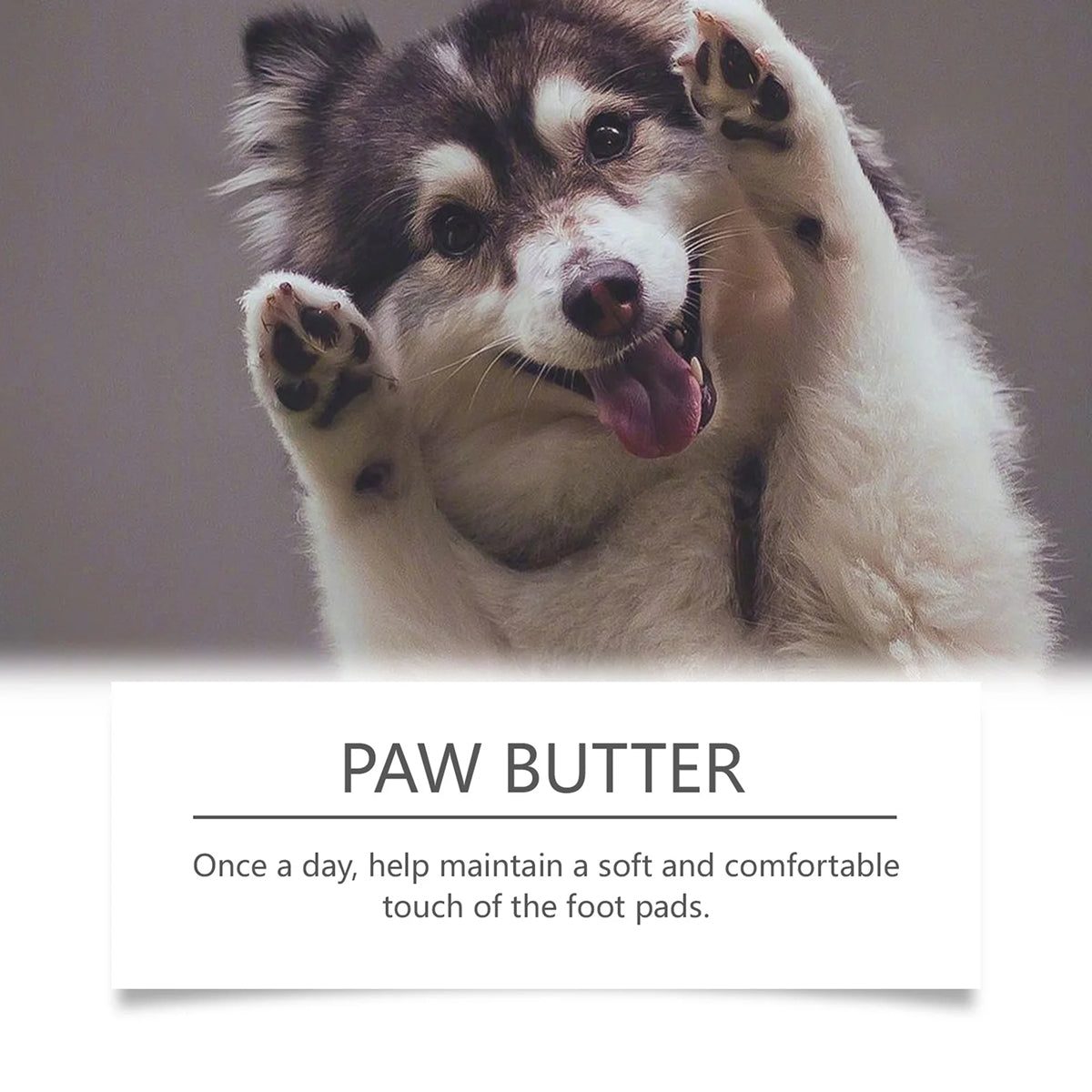 DeaEllant Beeswax And Mineral Oil Formula To Lock In Moisture And Protect Paw Pads
