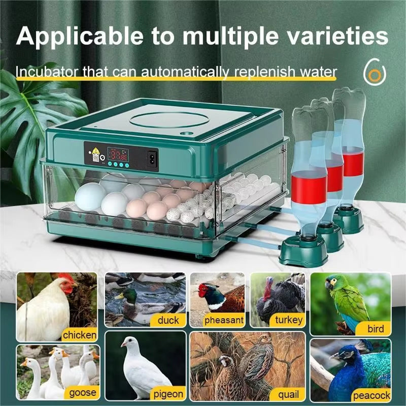 EggBatix Digital Automatic Incubator – 12-Egg Capacity, Heat Control & Integrated LED Candler