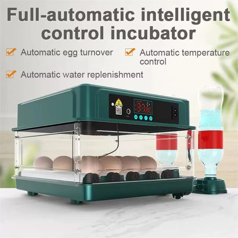 EggBatix Digital Automatic Incubator – 12-Egg Capacity, Heat Control & Integrated LED Candler
