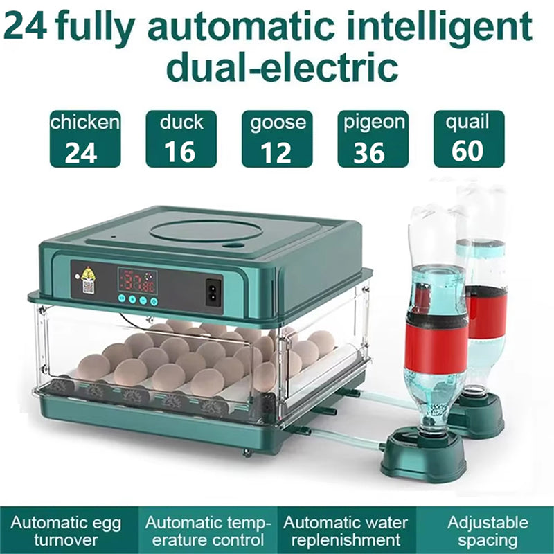 EggBatix Digital Automatic Incubator – 12-Egg Capacity, Heat Control & Integrated LED Candler