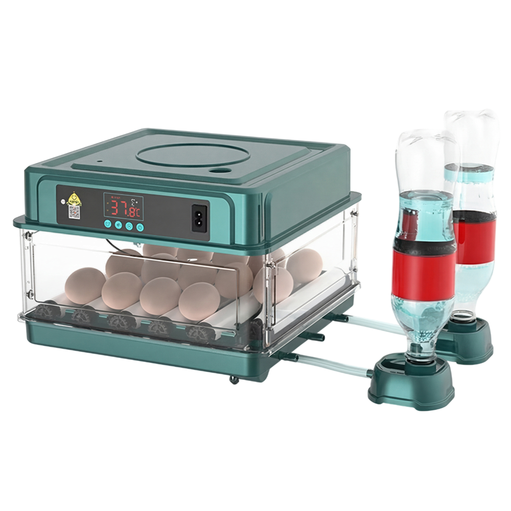 EggBatix Digital Automatic Incubator – 12-Egg Capacity, Heat Control & Integrated LED Candler