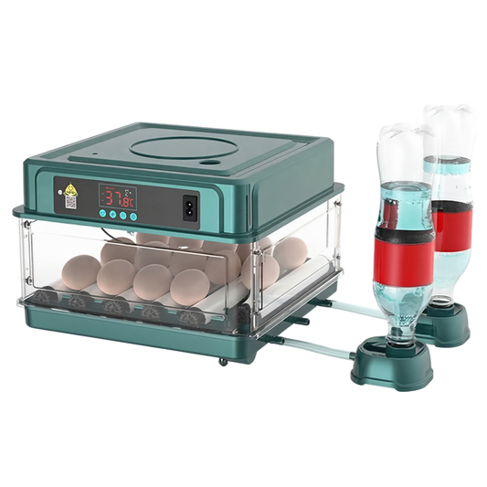 EggBatix Digital Automatic Incubator – 12-Egg Capacity, Heat Control & Integrated LED Candler