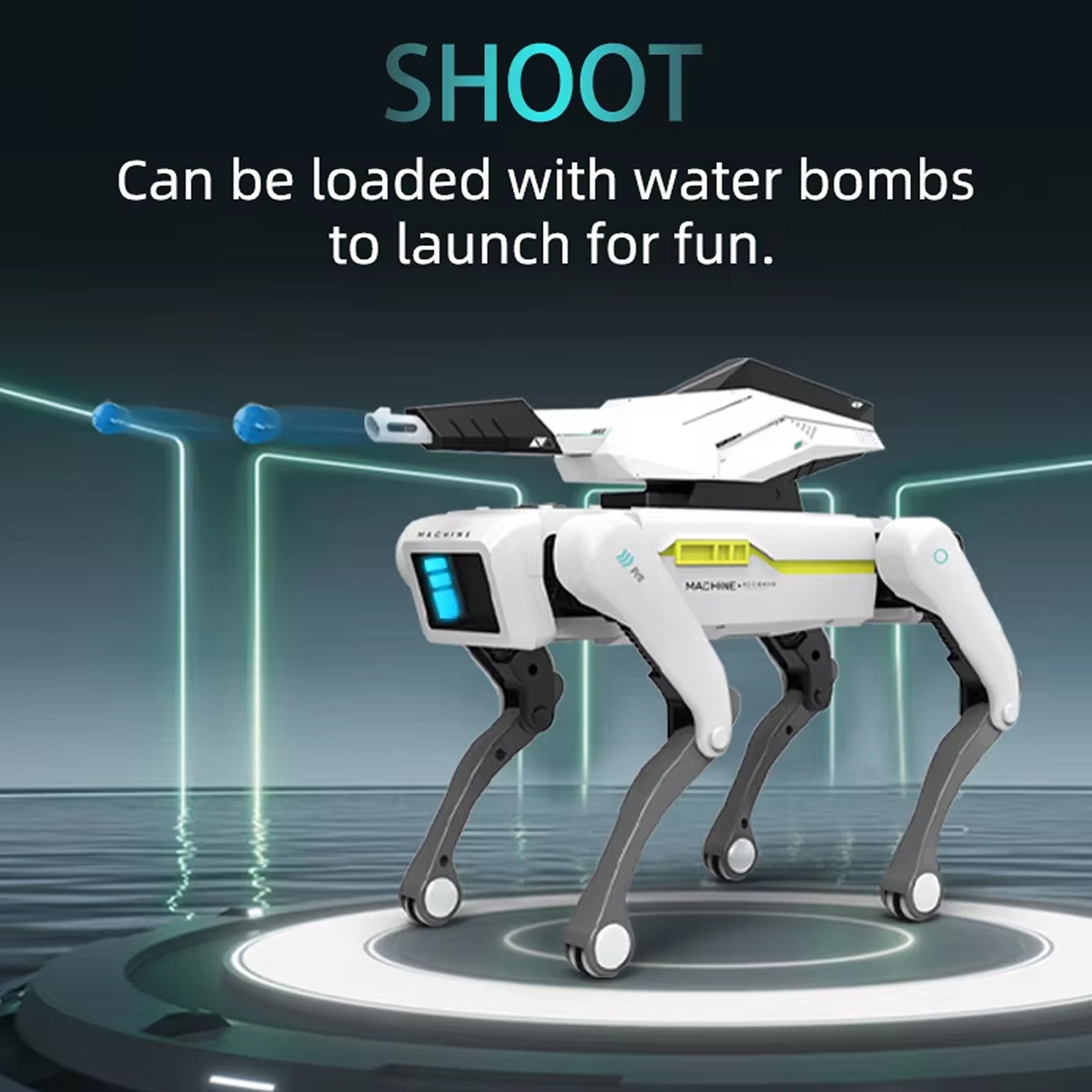 FomisPet