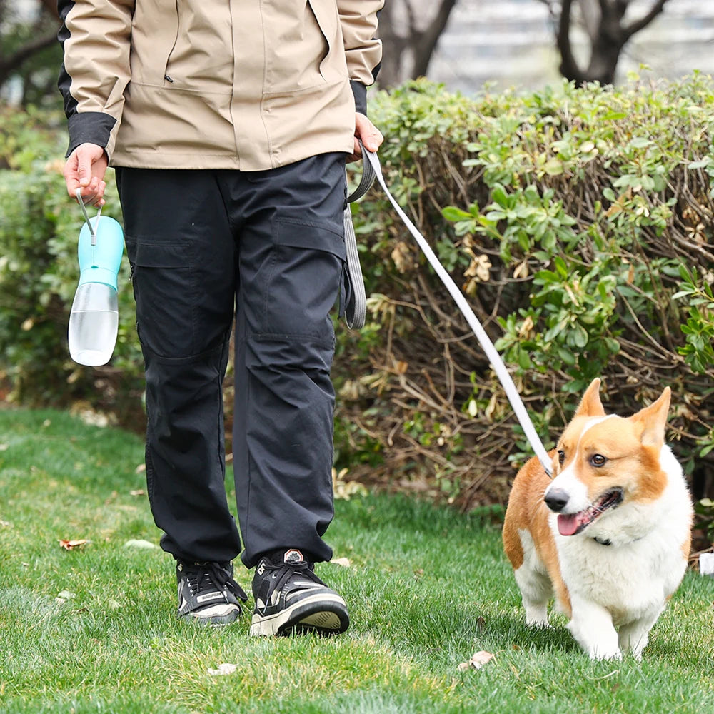 FopetCare Leak-Proof Integrated Bowl Design