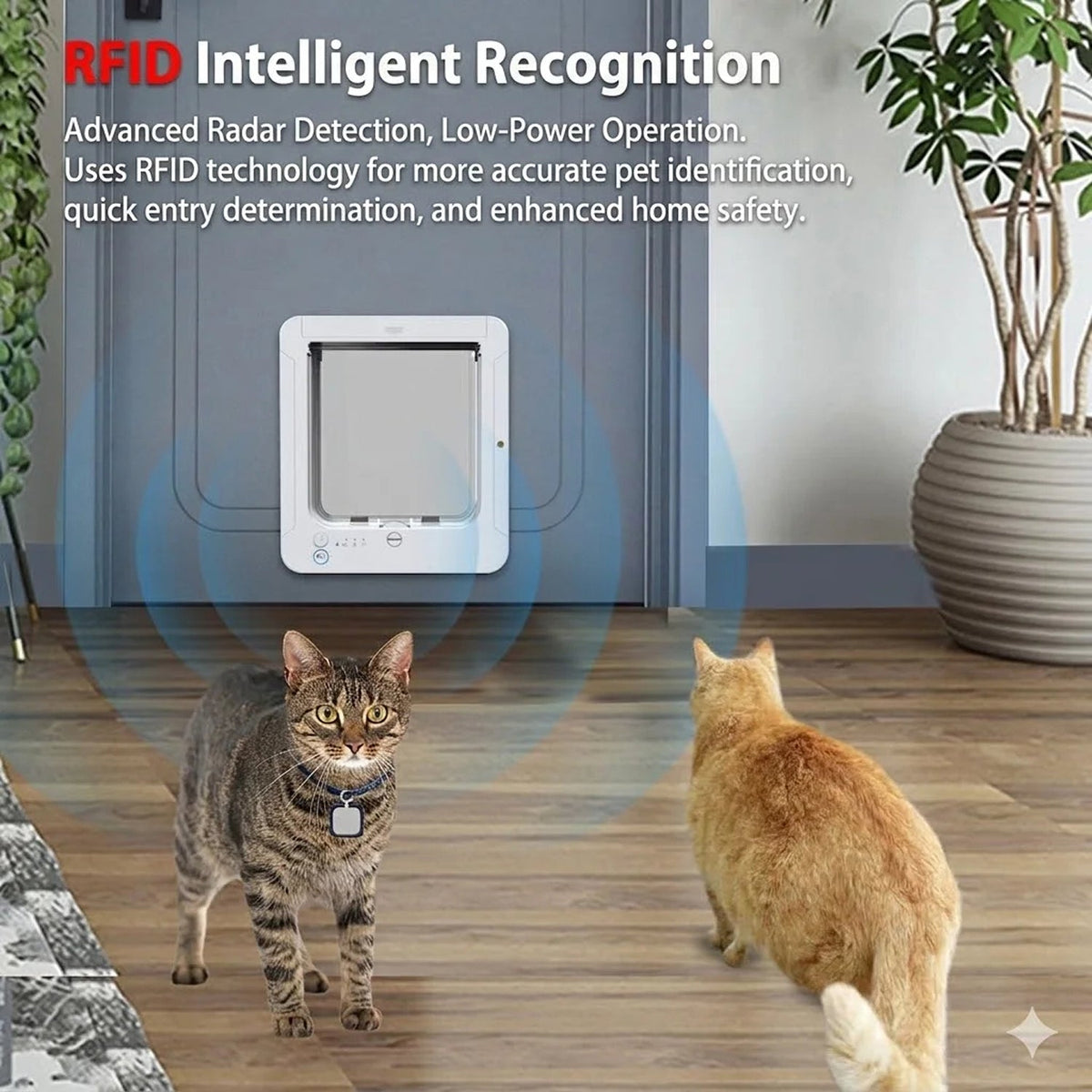 Keepilco Intelligent RFID access for authorized pets only