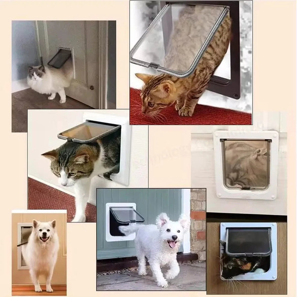 Keepilco Intelligent RFID access for authorized pets only