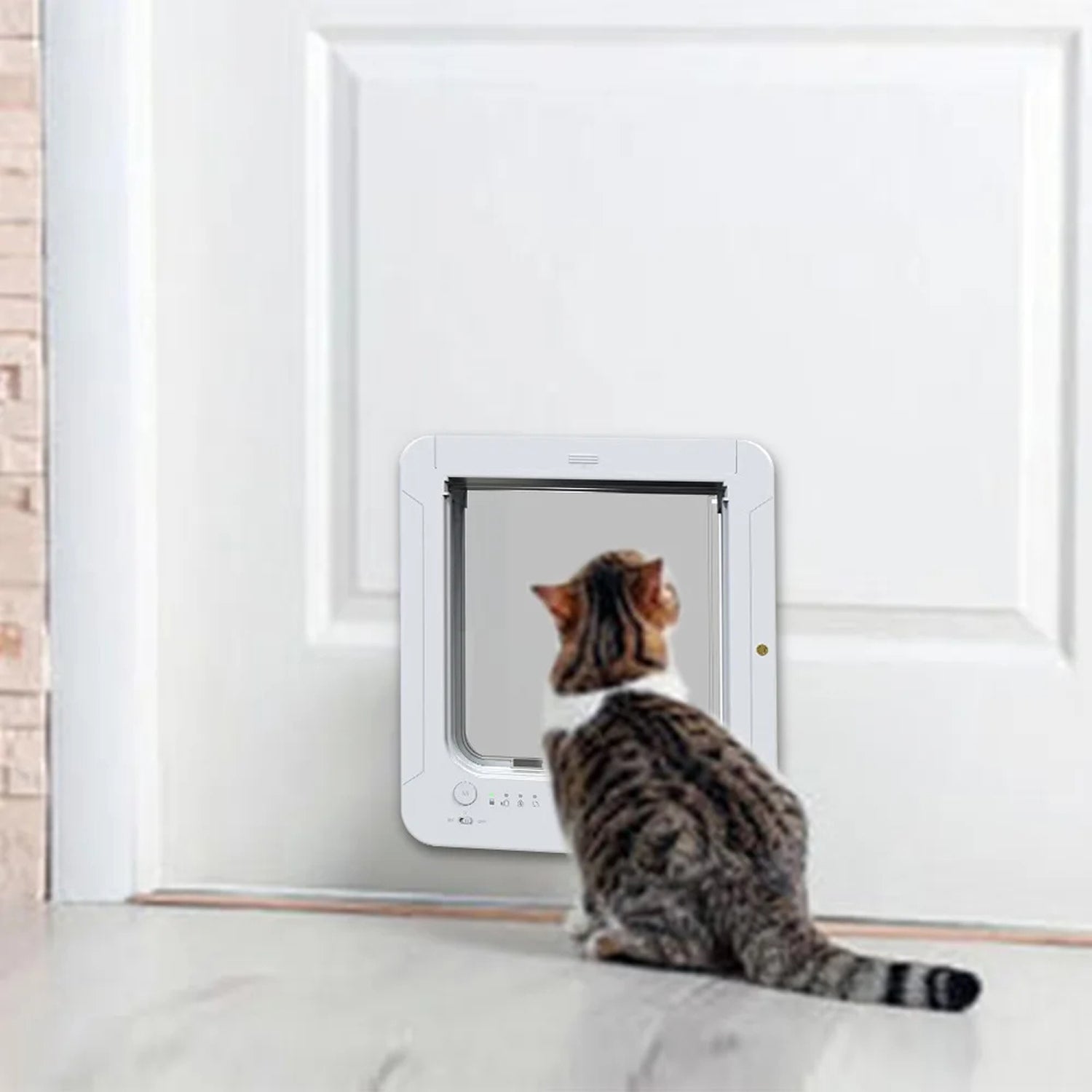 Keepilco Intelligent RFID access for authorized pets only