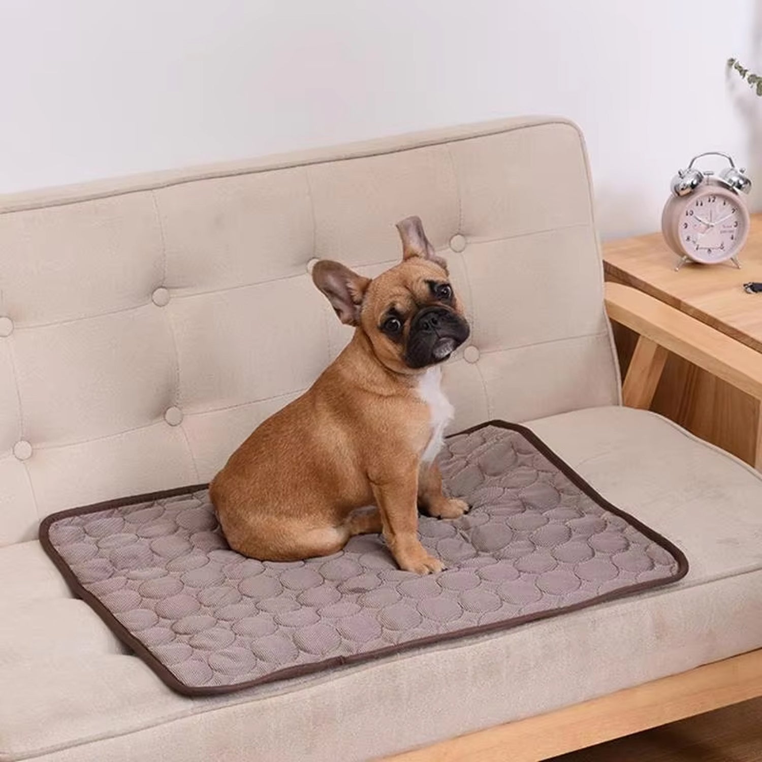 MajiColix Dog Cooling Mat – Advanced Ice Silk Technology, Pressure-Activated Relief & Washable Pet Cushion