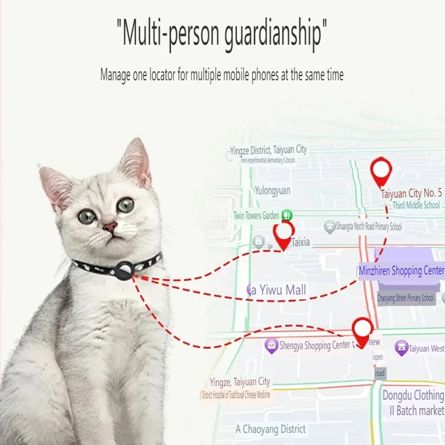 MeowMapi