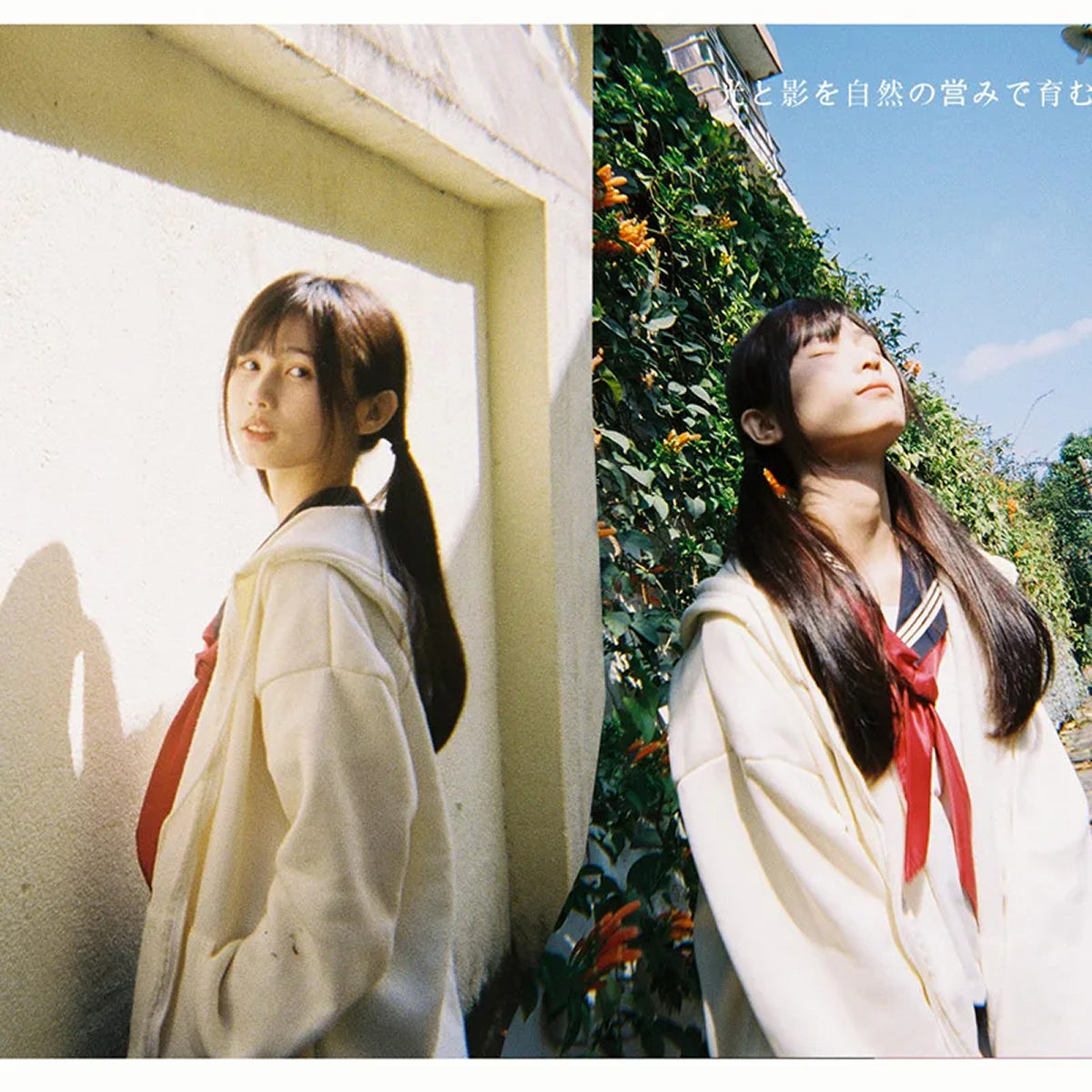 Capture Nostalgic 90s Aesthetic with the OrlanWob Transparent Disposable Camera