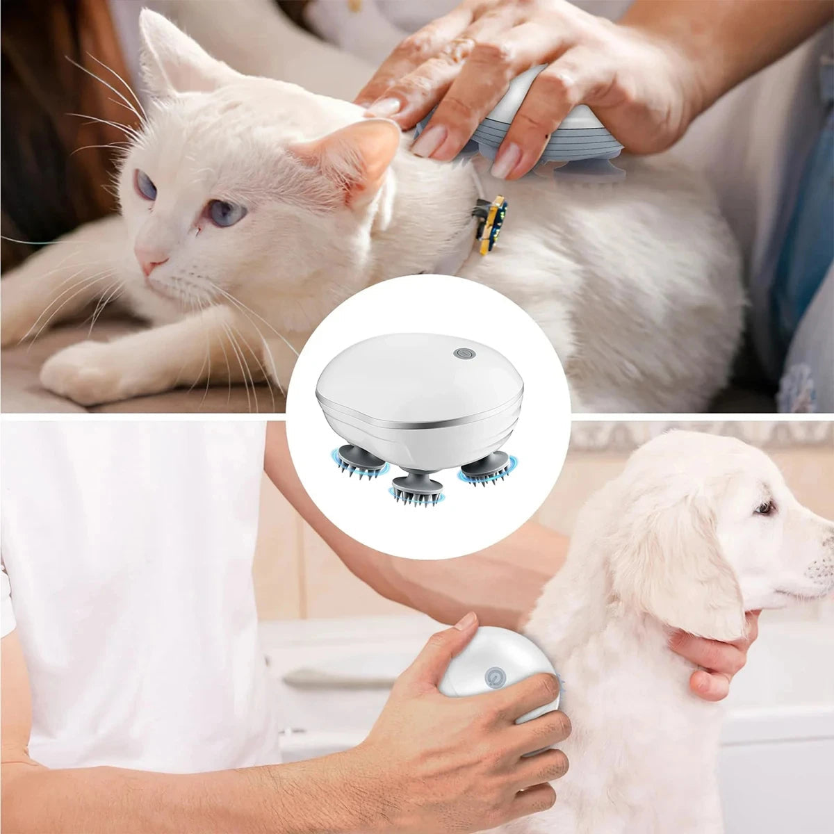 PorHavid -Professional Scalp Therapy & Hair Revitalization