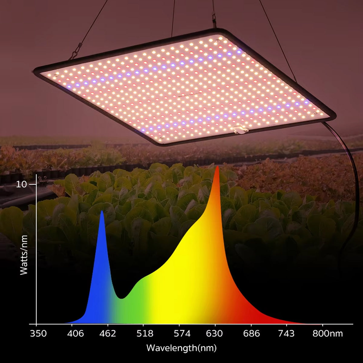 ResBloomi LED Grow Lights – Full Spectrum Sun-Like Spectrum, 10 Dimming Levels & Auto Cycle Timer