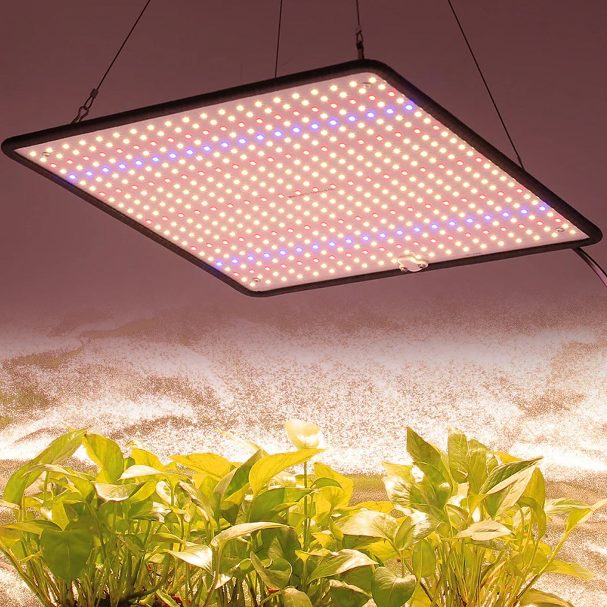 ResBloomi LED Grow Lights – Full Spectrum Sun-Like Spectrum, 10 Dimming Levels & Auto Cycle Timer