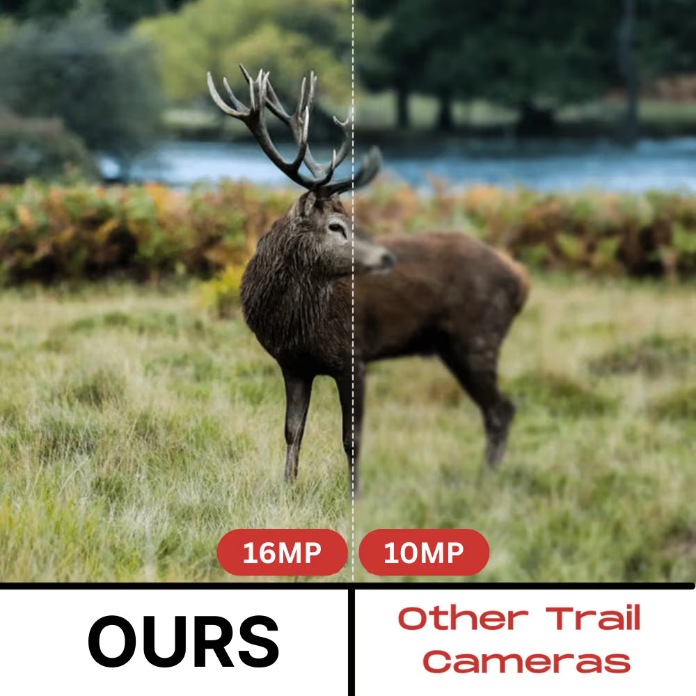 ScoXeCam 16MP Stealth Trail Camera – 940nm No-Glow IR, 0.2s Trigger & IP66 Waterproof Housing